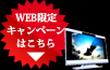 WEB限定キャンペーンはこちら